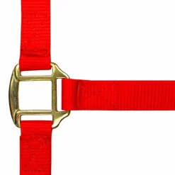 Norton - Licol nylon doublé cuir rouge