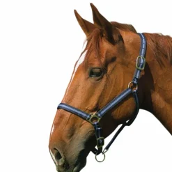 Norton - Licol nylon doublé cuir marine/ gris