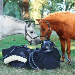 Norton - Licol nylon doublé néoprène noir