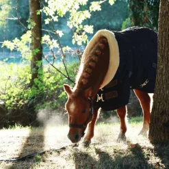 Norton - Licol nylon doublé néoprène noir