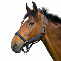 Norton - Licol nylon doublé cuir marine