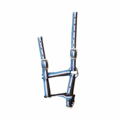 Norton - Licol pour poulains réglable choco/ blanc/ ciel