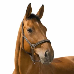 Norton - Licol Reflective choco