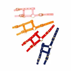 Norton - Licol réglable mini orange