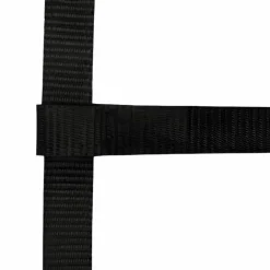 Norton - Licol réglable mini noir