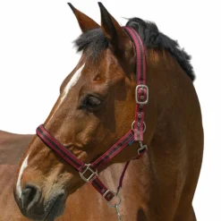 Norton - Licol Satine bordeaux/ noir