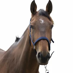 Norton - Licol Satine marine