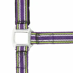 Norton - Licol strong prune/ vert/ blanc