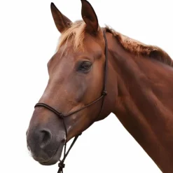 Norton - Licol éthologique doux marron