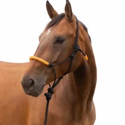 Norton - Licol éthologique et longe Fun colour noir/orange