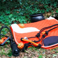 Norton - Licol éthologique et longe Fun colour noir/orange