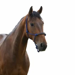 Norton - Licol éthologique corde/ synthétique bleu