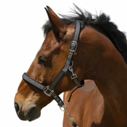 Norton - Licol Zari noir