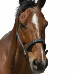 Norton - Licol Zari noir