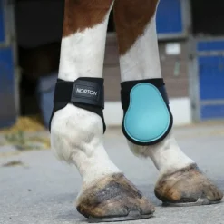 Norton - Protège-boulets vert Celadon