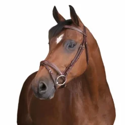 Norton Pro - Bridon fin havane