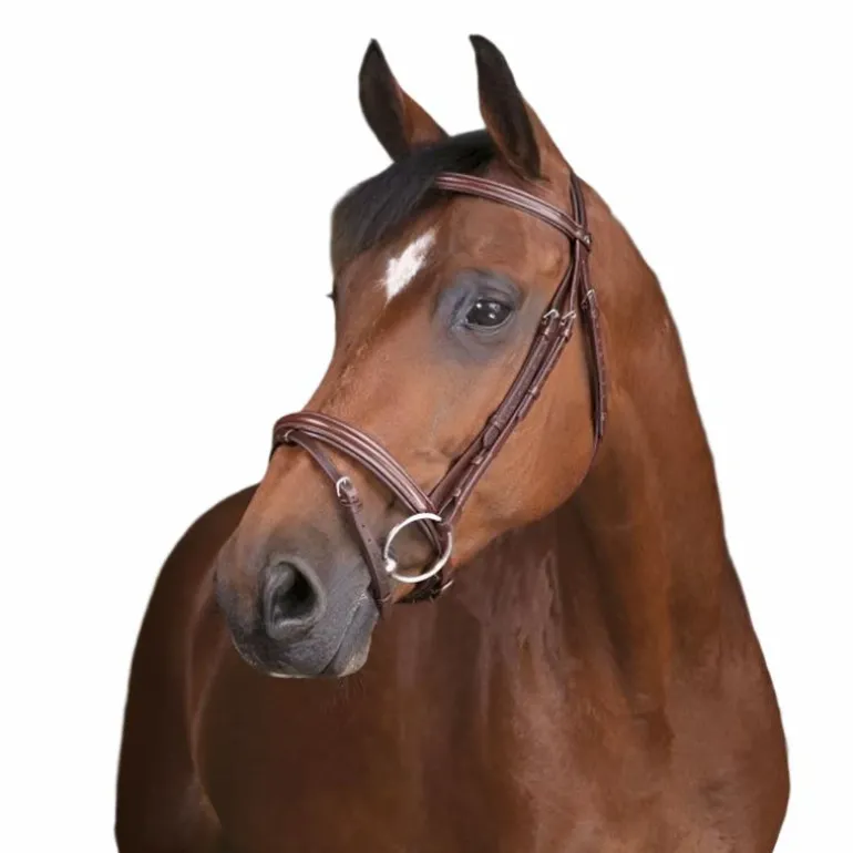 Norton Pro - Bridon fin havane