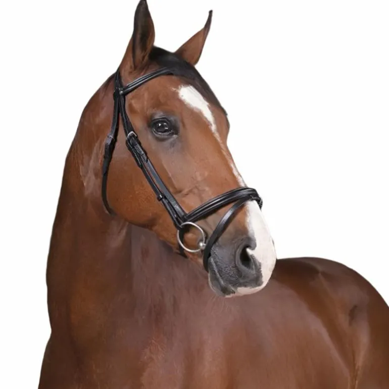 Norton Pro - Bridon fin noir