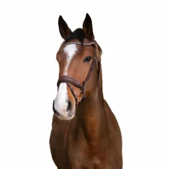 Norton Pro - Bridon Miss havane