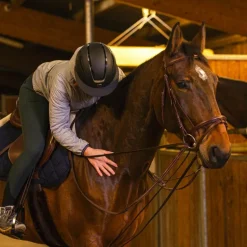 Norton Pro - Rênes allemandes sangle havane