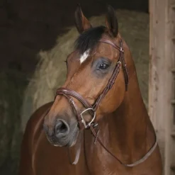 Norton Pro - Rênes caoutchouc havane 16 mm