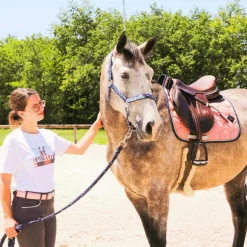 Oxxer - Tapis de selle Intemporels vieux rose