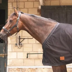 Paddock Sports - Chemise séchante Mesh noir