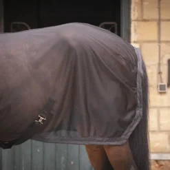 Paddock Sports - Chemise séchante Mesh noir
