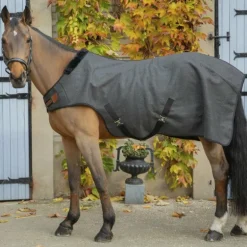 Paddock Sports - Couverture de marcheur Walker Wooltouch gris chiné 0g