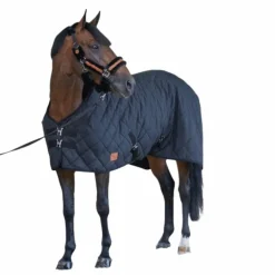 Paddock Sports - Couverture de box matelassée noir 50 g