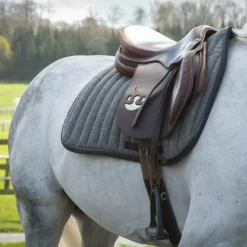Paddock Sports - Tapis de selle Wooltouch gris