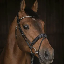 Pénélope - Bridon Daily Strass noir