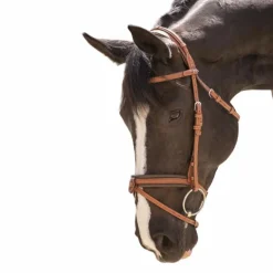 Pénélope - Bridon Elégance cognac