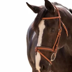 Pénélope - Bridon Elégance cognac