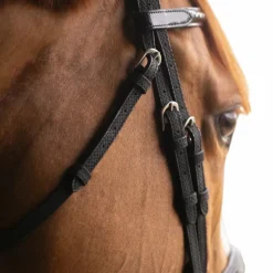 Pénélope - Bridon Oxford noir