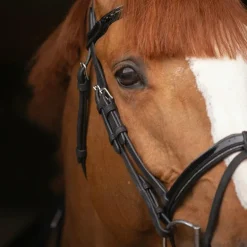 Pénélope - Bridon Oxford noir