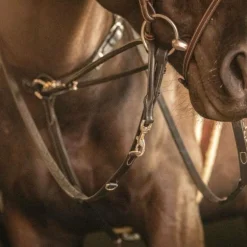 Pénélope - Enrênement Howlett Martin collier noir