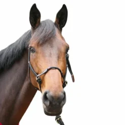 Pénélope - Licol cheval Ethologique noir