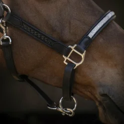 Pénélope - Licol Harmonie noir