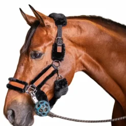 Pénélope - Licol mouton et cuir noir/ noir