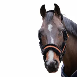 Pénélope - Licol mouton et cuir noir/ noir