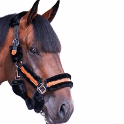 Pénélope - Licol mouton et cuir noir/ noir