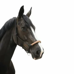 Pénélope - Licol éthologique américain noir