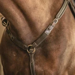 Pénélope - Martin Collier havane