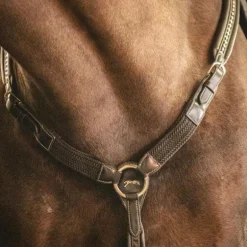 Pénélope - Martin Collier havane