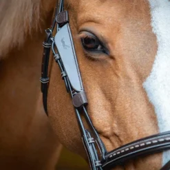 Pénélope - Oeillères Blinkers havane
