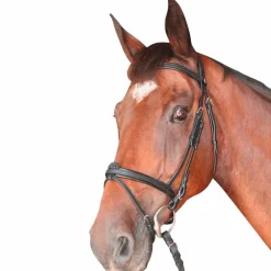 Privilege Equitation - Bridon Cabourg combiné avec rênes noir