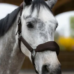 Pro Confort - Ensemble licol ergonomique et longe Dorai en mesh marron