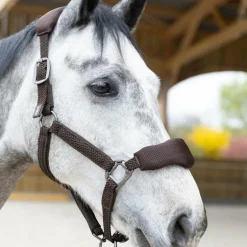 Pro Confort - Ensemble licol ergonomique et longe Dorai en mesh marron