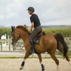 Pro Series - T-shirt manches courtes homme Aubin noir